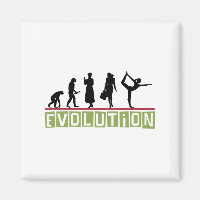 Yoga Evolution