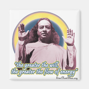 Imán Yogananda Magnet PY02