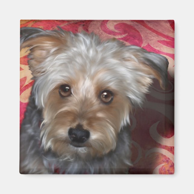 Imán Yorkie (Frente)