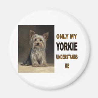 IMÁN YORKIE