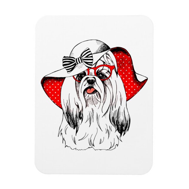 Imán Yorkie Fashion Shoot (Vertical)