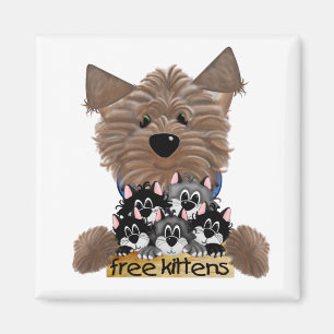 Imán Yorkie libera gatitos