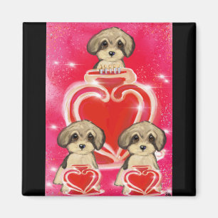 Imán Yorkie Poo