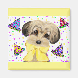 Imán Yorkie Poo