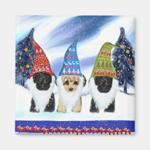 Imán Yorkie Poo Suecia