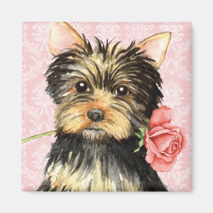 Imán Yorkie subió tarjeta del día de San Valentín