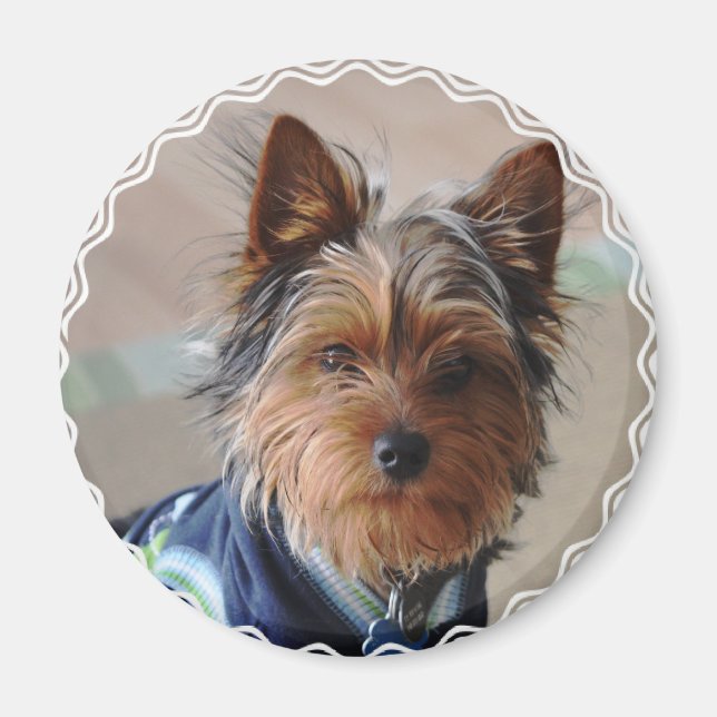 Imán Yorkie Terrier Magnet (Frente)