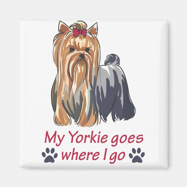 Imán Yorkie va adonde voy (Frente)