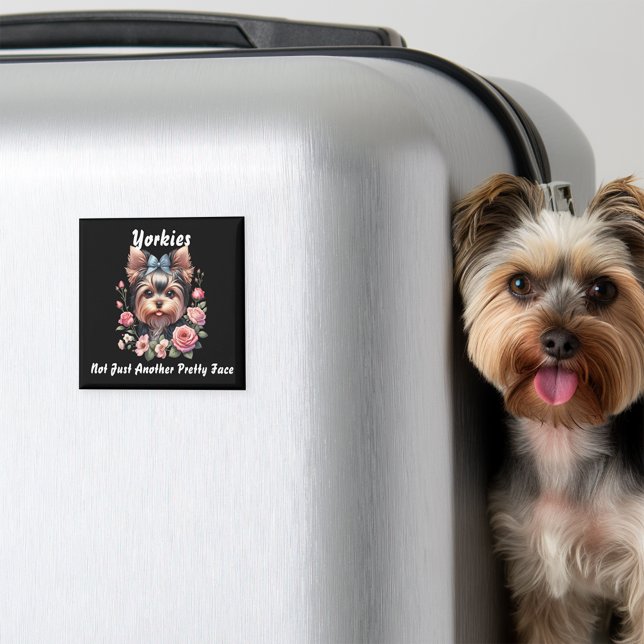 Imán Yorkies, no sólo otra cara de Bonito (Subido por el creador)