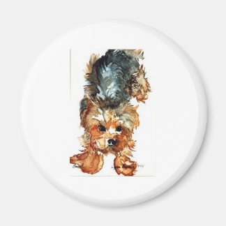 imán - Yorkshire Terrier