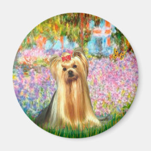 Imán Yorkshire Terrier 1 - Jardín