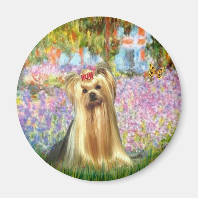 Imán Yorkshire Terrier 1 - Jardín (Frente)