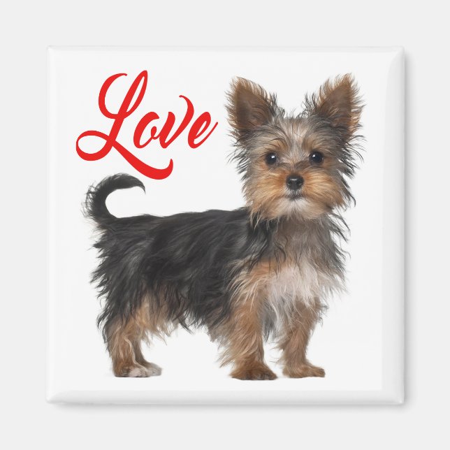 Imán Yorkshire Terrier Puppy Dog Red Love (Frente)