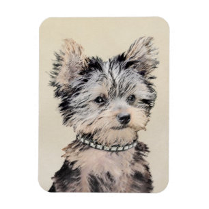 Imán Yorkshire Terrier Puppy Pintando Arte Original De