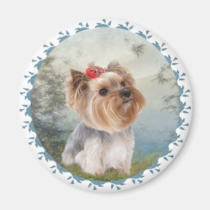 Imán Yorkshire Terrier soñador