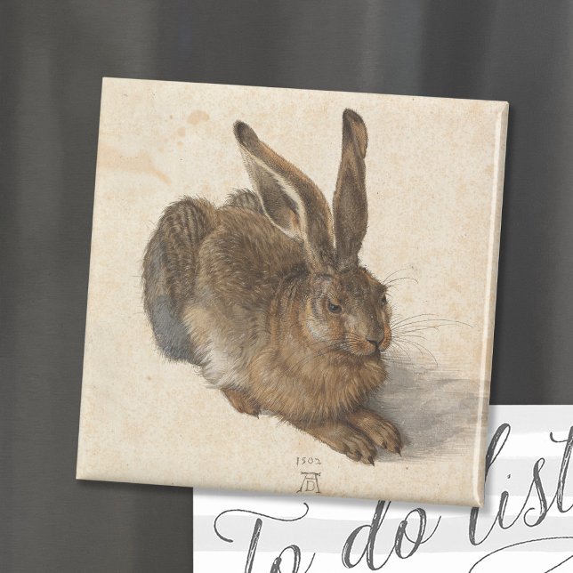 Imán Young Hare | Albrecht Dürer (Subido por el creador)
