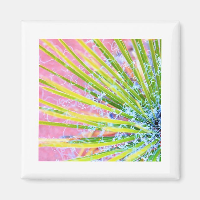 Imán Yucca psicodélica (Frente)