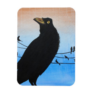 Imán Zanate Austin Texas Pájaro Naturaleza Vida Silvest