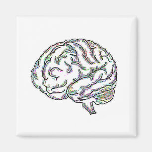 Imán Zany Brainy