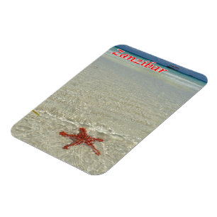 Imán Zanzíbar - Vista al mar - Starfish -