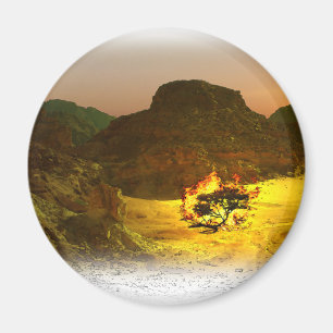 Imán Zarza ardiente 1