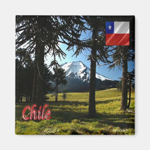 Imán zCL026 CHILE, Araucarias, Monumento Natural, Fridg