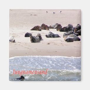 Imán zDE106 JUNGNAMENSAND SEALS Fridge islas Frisas