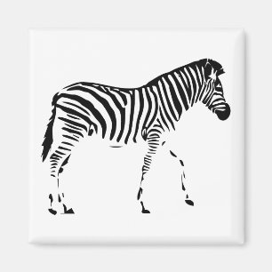 Imán Zebra
