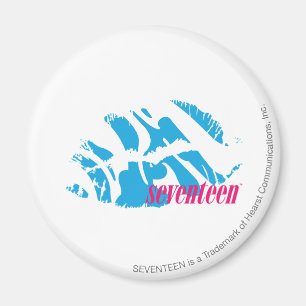 Imán Zebra Aqua