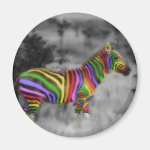 Imán Zebra arcoiris