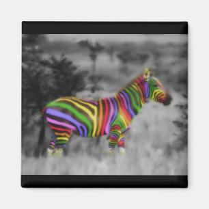 Imán Zebra arcoiris