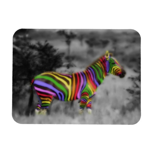 Imán Zebra arcoiris (Horizontal)