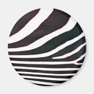 Imán Zebra Black and White Stripes Print