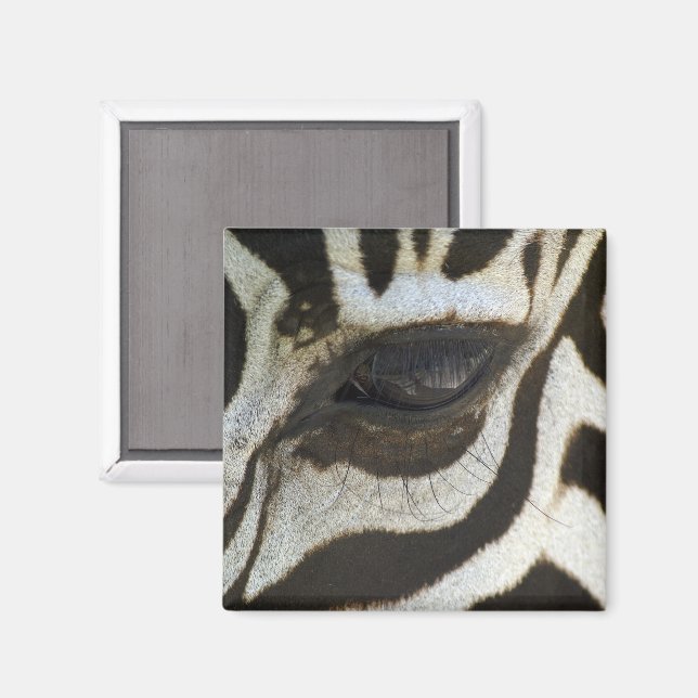 Imán Zebra Eye Magnet (Anverso/Reverso)