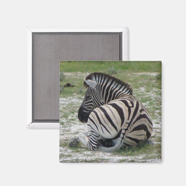 Imán Zebra Magnet (Anverso/Reverso)
