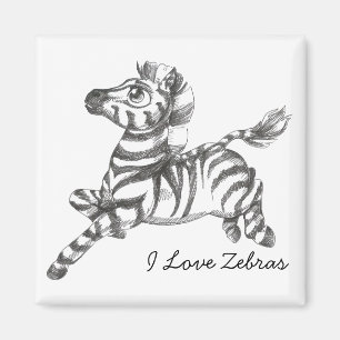 Imán Zebra Magnet