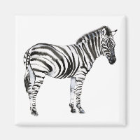 Zebra permanente