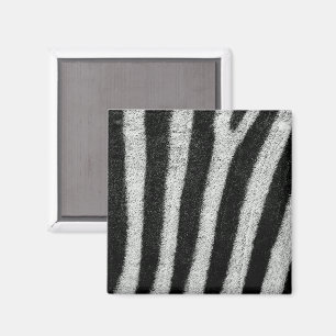 Imán Zebra Stripes Magnet