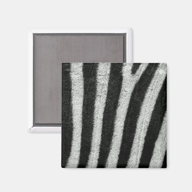 Imán Zebra Stripes Magnet (Anverso/Reverso)