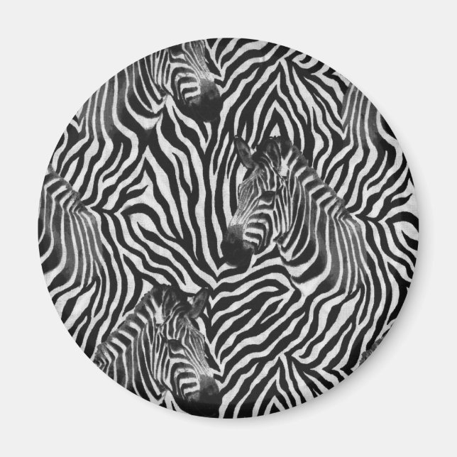 Imán Zebtas (Frente)