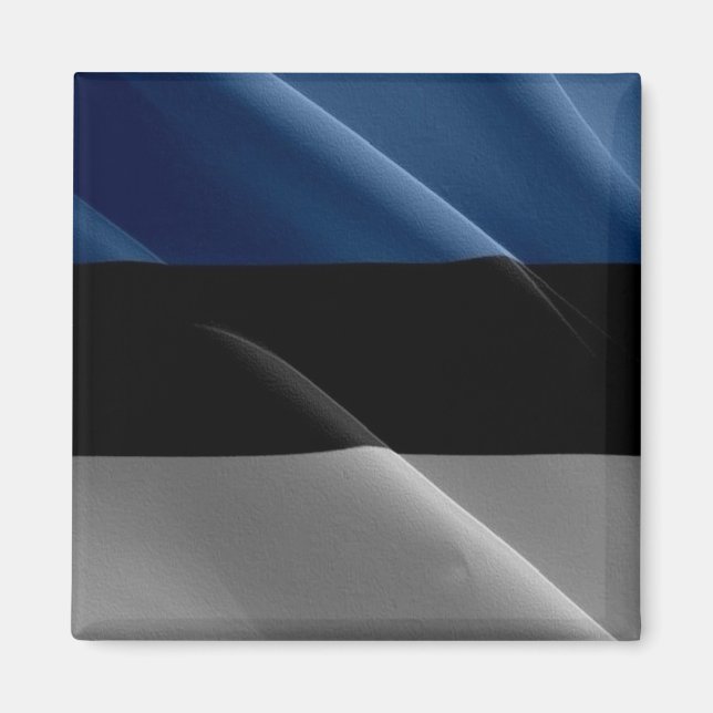 Imán zEE002 ESTONIA ondeando la BANDERA Estonia - Fridg (Frente)