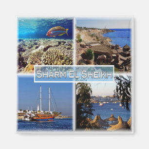 Imán zEG063 SHARM EL SHEIK en el Mar Rojo, EGIPTO, Frid