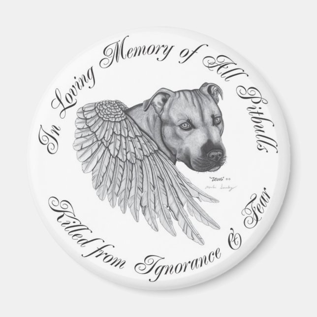 Imán Zeus angel (Frente)