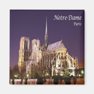 Imán zFR055 NOTRE-DAME, París, Francia, Fridge