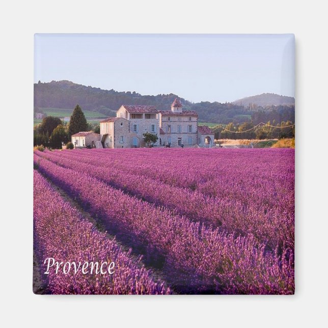 Imán zFR149 PROVENCE, Francia, Fridge (Frente)