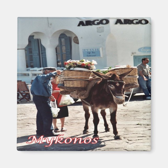 Imán zGR119 MYKONOS Donkey, Grecia, Fridge (Frente)