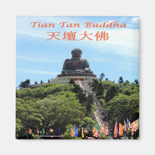 Imán zHK021 TIAN TAN BUDDHA, Hong Kong, Asia, Fridge