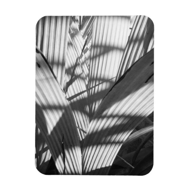 Imán Zigzag (Vertical)