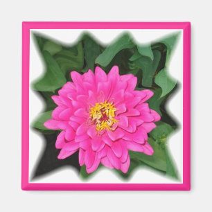 Imán zinnia star1