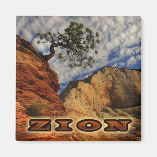 Imán Zion Magnate